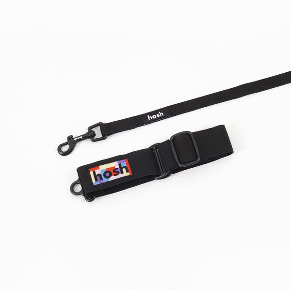 Primary Colour Martingale Collar + Leash Set | Black - 2&4 PETS