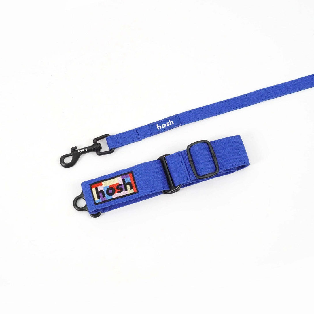 Primary Colour Martingale Collar + Leash Set | Blue - 2&4 PETS