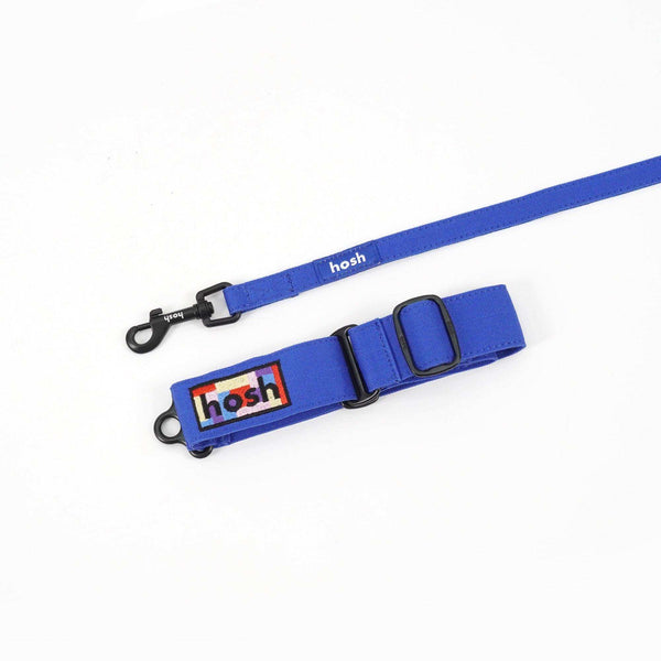 Primary Colour Martingale Collar + Leash Set | Blue - 2&4 PETS