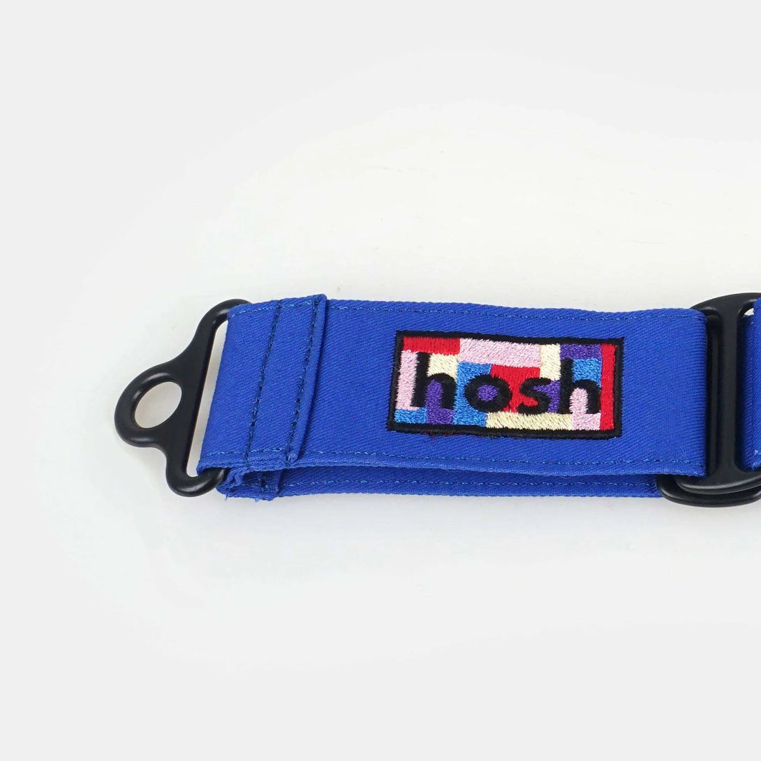 Primary Colour Martingale Collar + Leash Set | Blue - 2&4 PETS