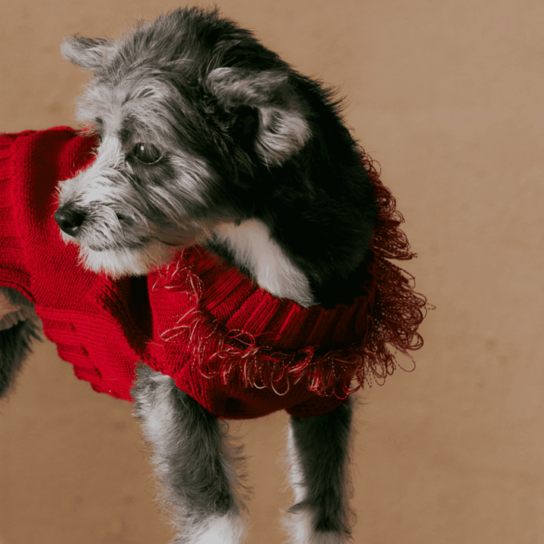 Reflective Dog Sweater | Wool - 2&4 PETS