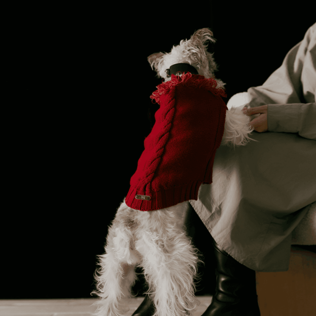 Reflective Dog Sweater - 2&4 PETS