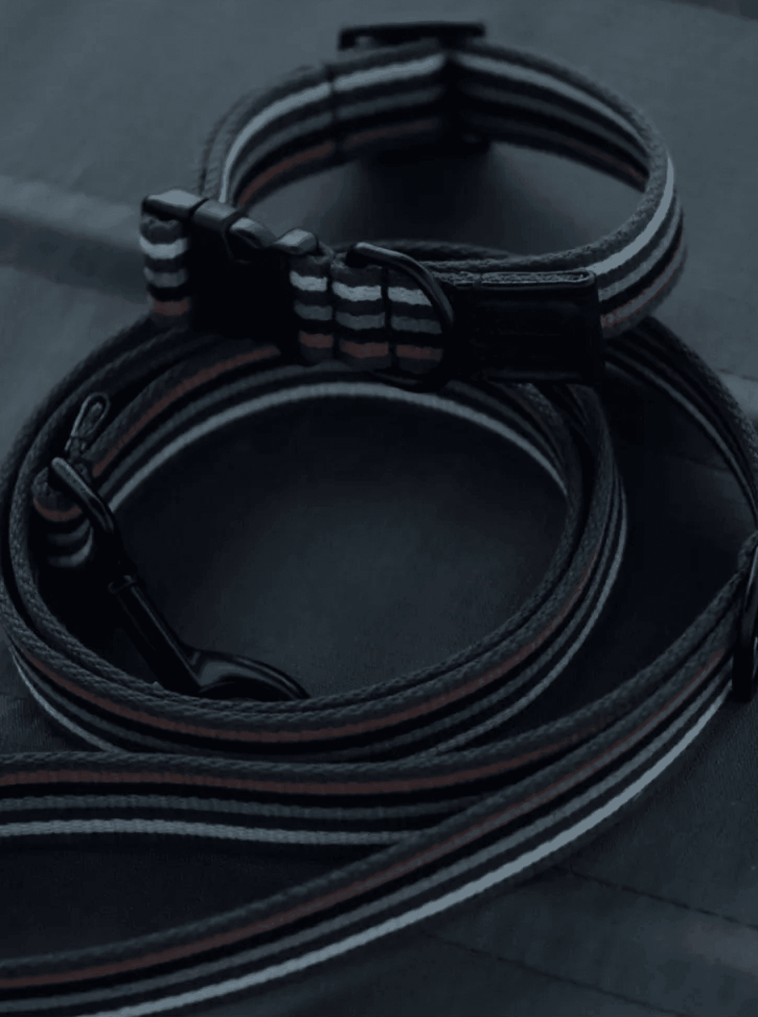 [RoamRoam X ULA HOUND] COLLAR & LEAD SET