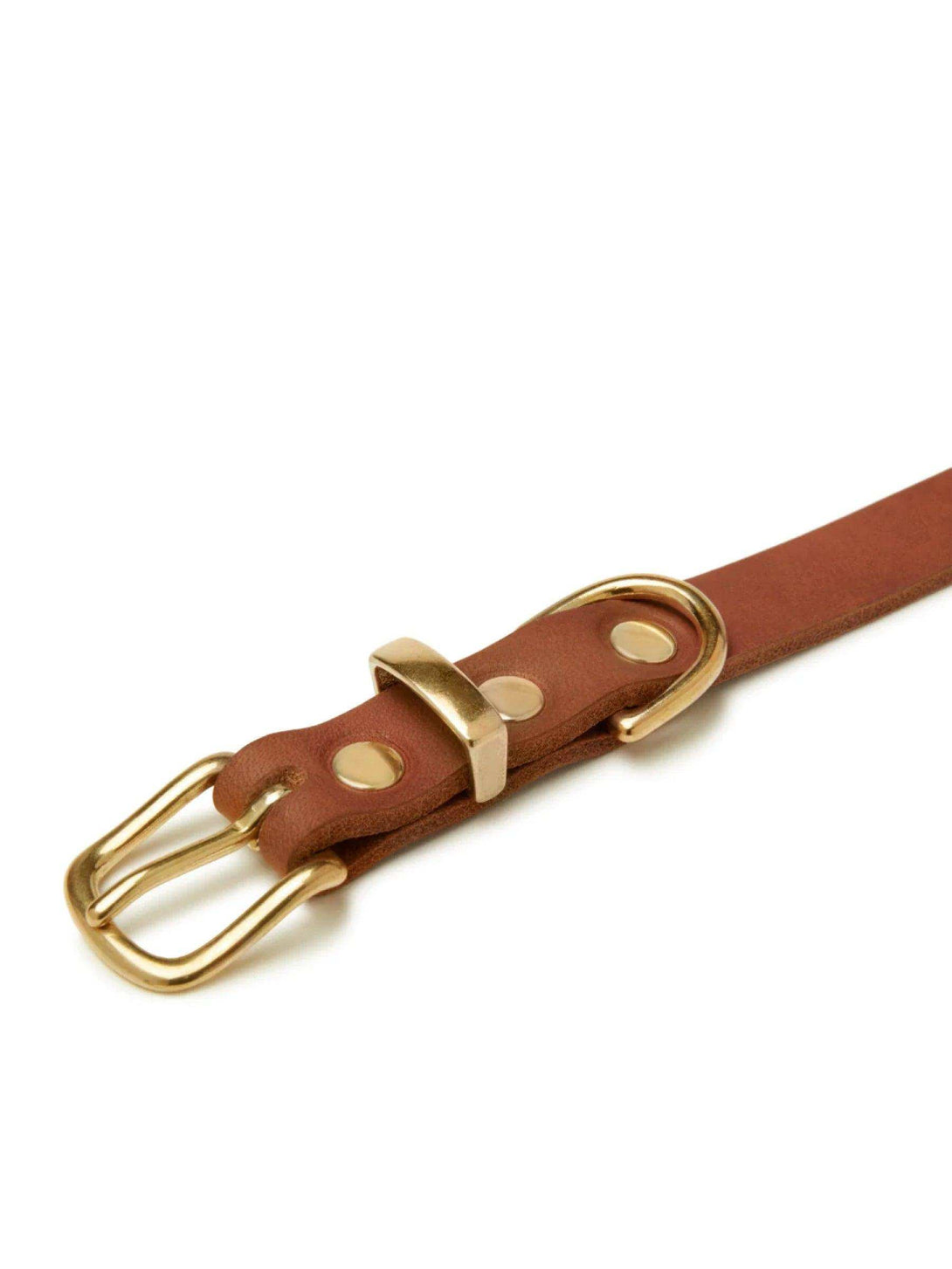 [SAHARA COGNAC] BUTTER LEATHER DOG COLLAR - 2&4 PETS