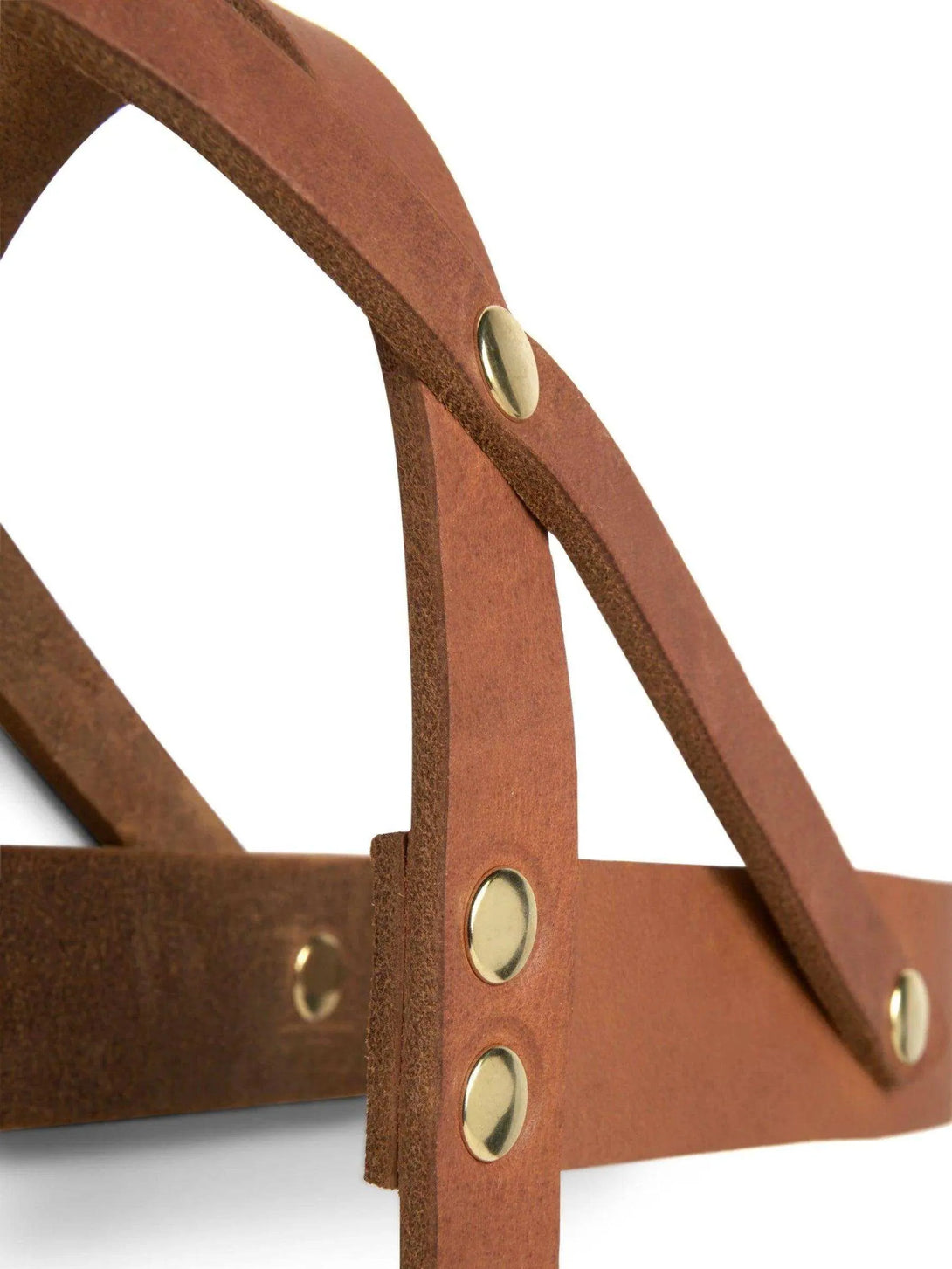 [SAHARA COGNAC] BUTTER LEATHER DOG HARNESS - 2&4 PETS