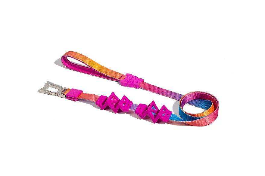 Shock Absorbing Leash and Collar