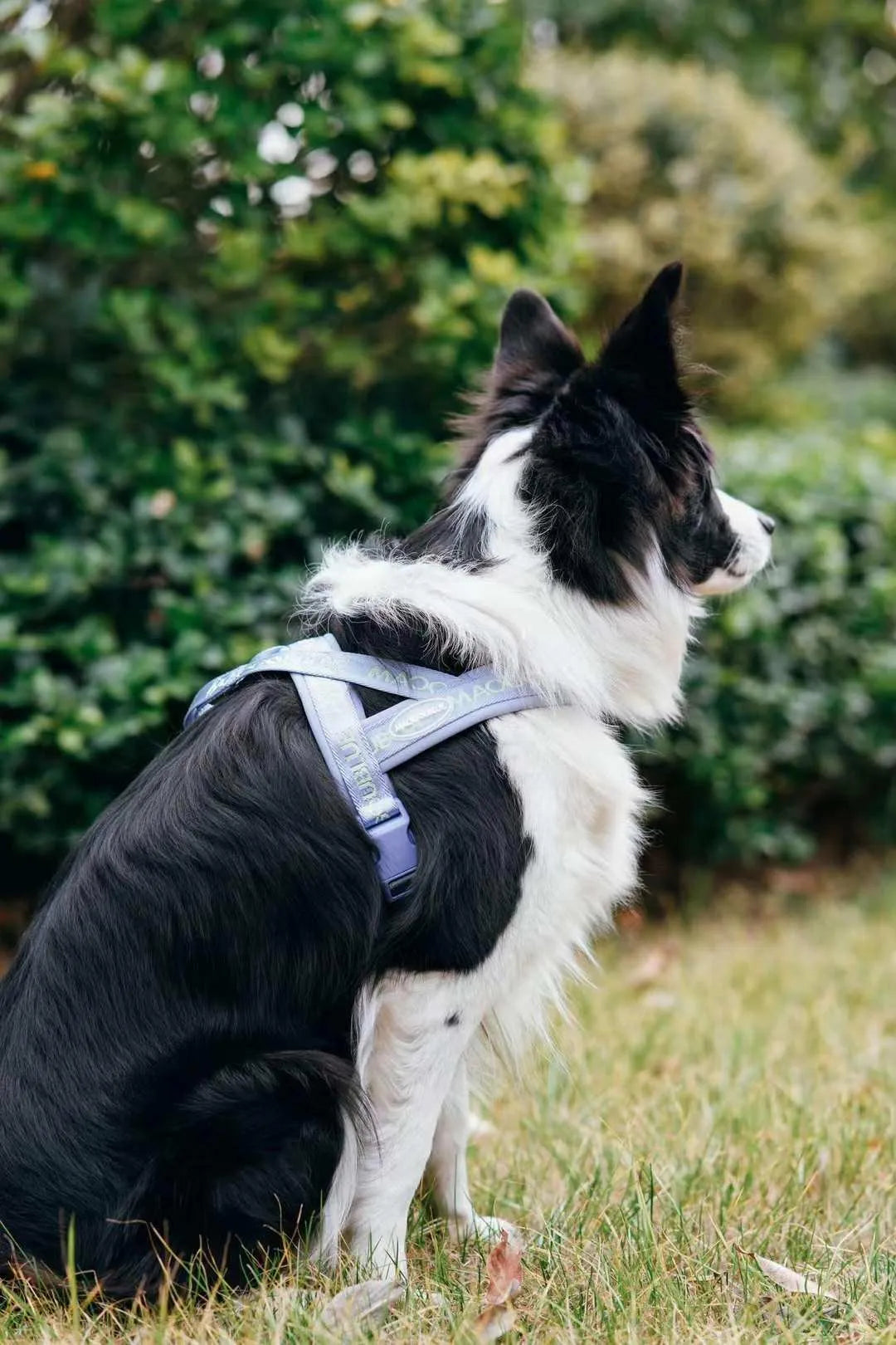 Signature Harness