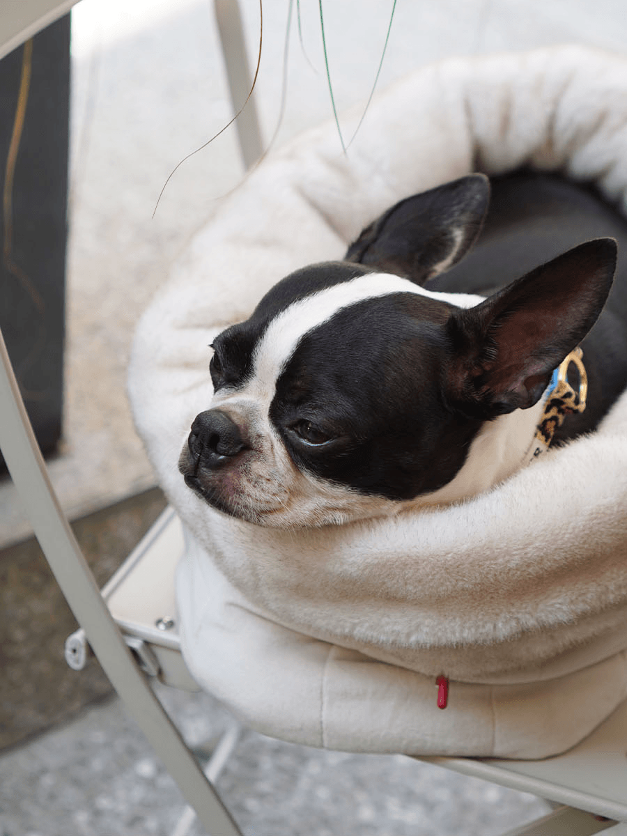 Snuggle Nest | Versatile Eco-fur Dog Sleeping Bag - 2&4 PETS