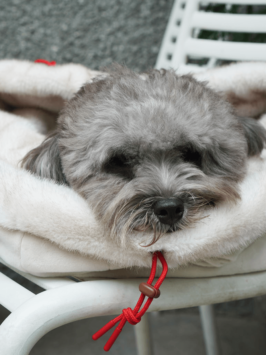 Snuggle Nest | Versatile Eco-fur Dog Sleeping Bag - 2&4 PETS