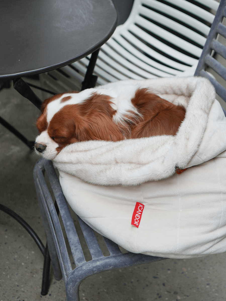 Snuggle Nest | Versatile Eco-fur Dog Sleeping Bag - 2&4 PETS