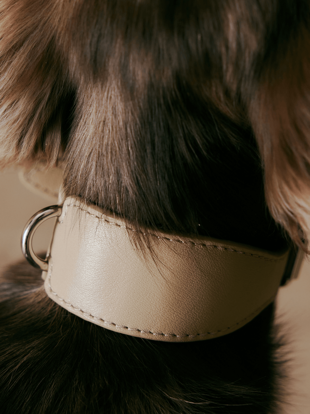 Spanish Classic H-Shape Leather Dog Collar - 2&4 PETS