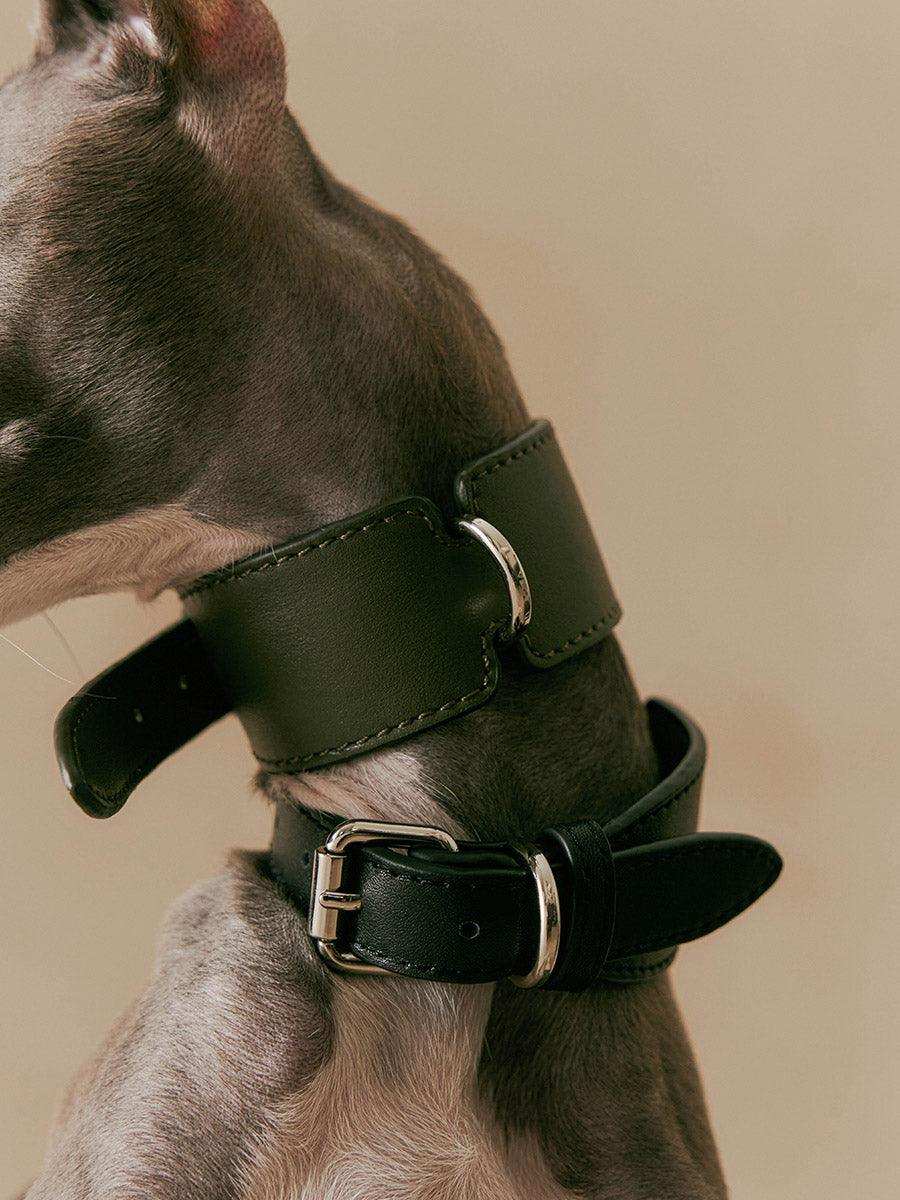 Spanish Classic H-Shape Leather Dog Collar - 2&4 PETS