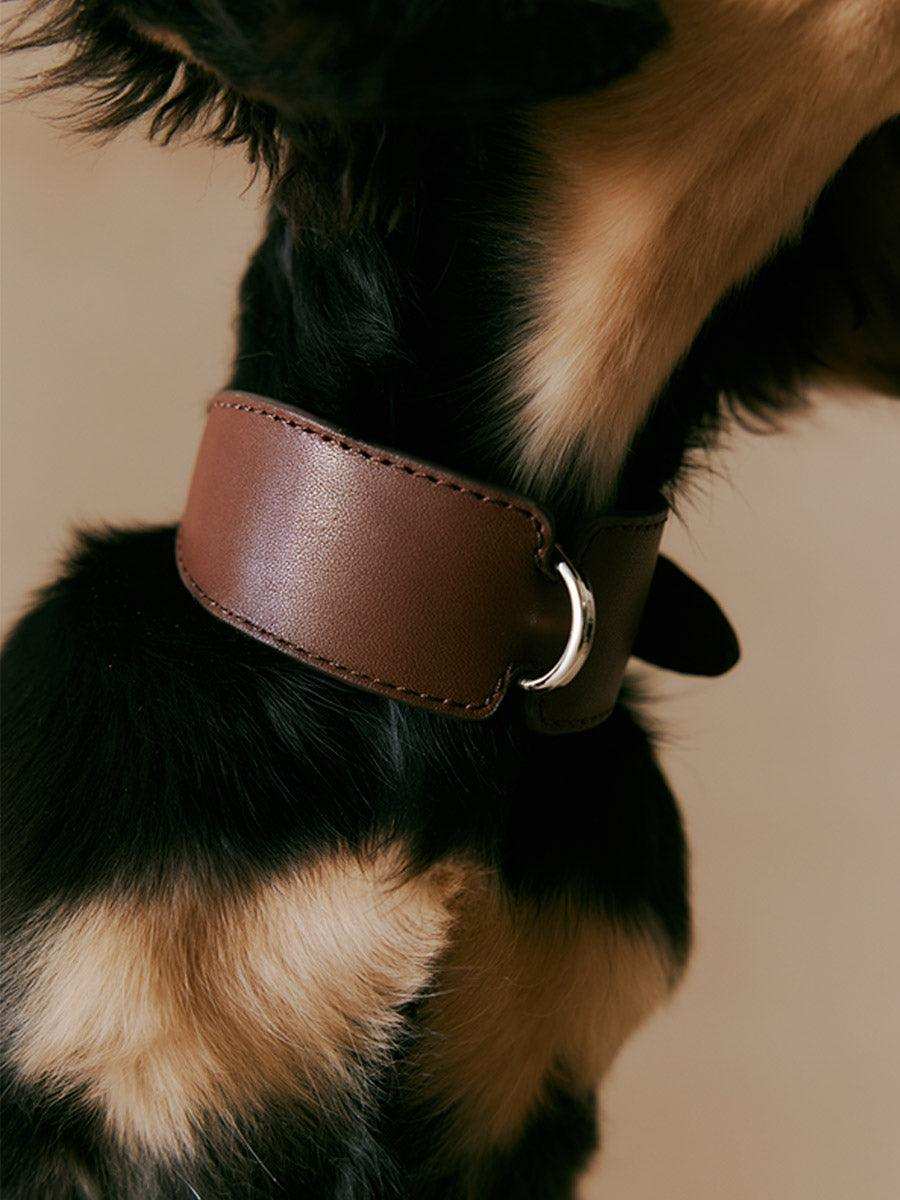 Spanish Classic H-Shape Leather Dog Collar - 2&4 PETS