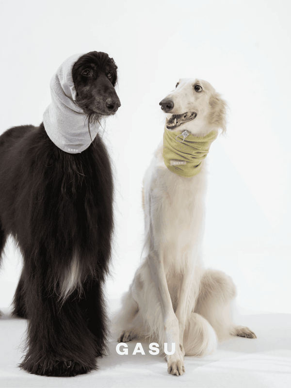 Super Fine Wool Pet Snood - 2&4 PETS