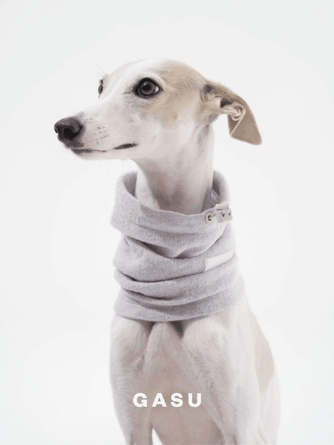 Super Fine Wool Pet Snood - 2&4 PETS