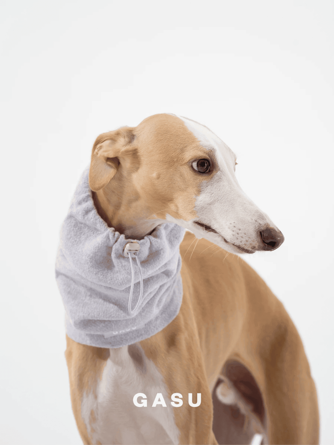 Super Fine Wool Pet Snood - 2&4 PETS