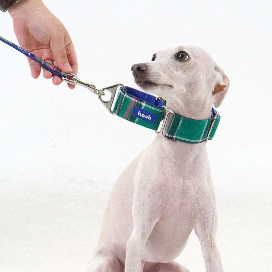 Tartan Pattern Collar Leash Set | Green - 2&4 PETS