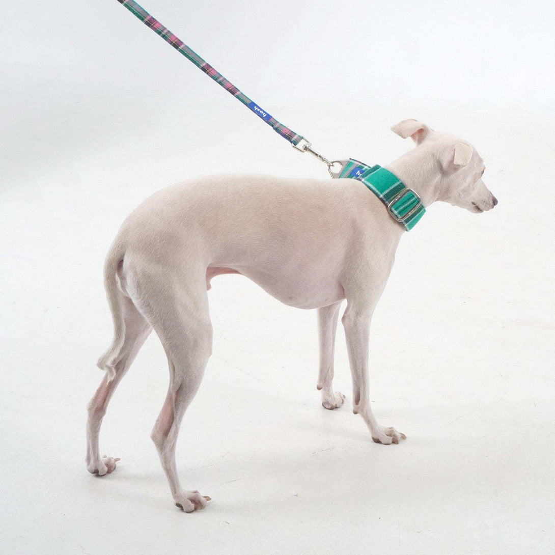 Tartan Pattern Collar Leash Set | Green - 2&4 PETS