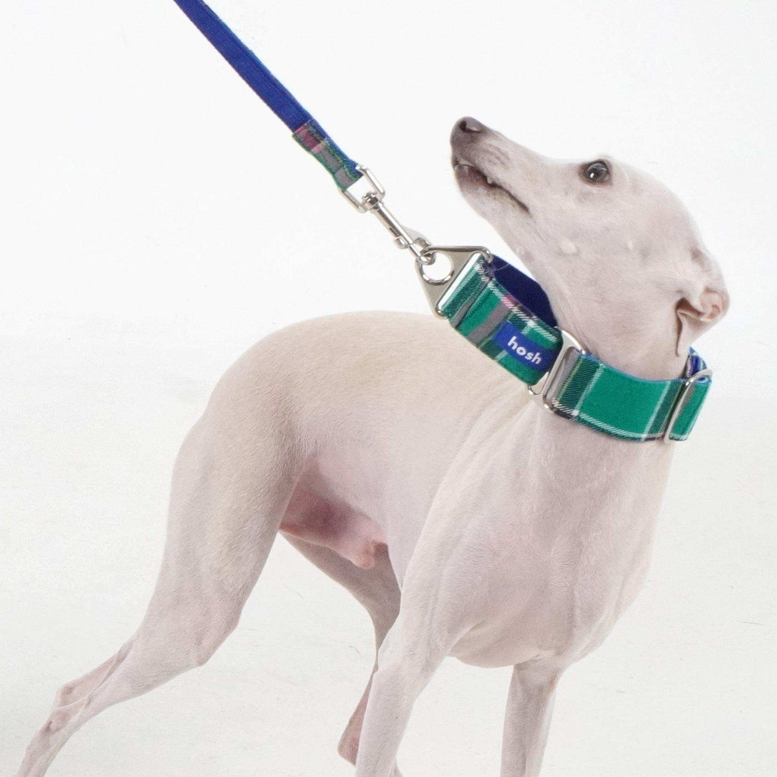 Tartan Pattern Collar Leash Set | Green - 2&4 PETS