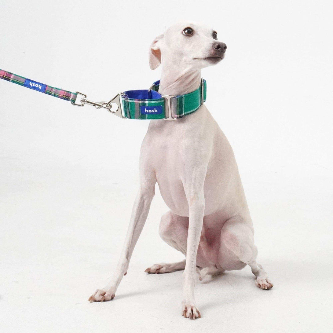 Tartan Pattern Collar Leash Set | Green - 2&4 PETS