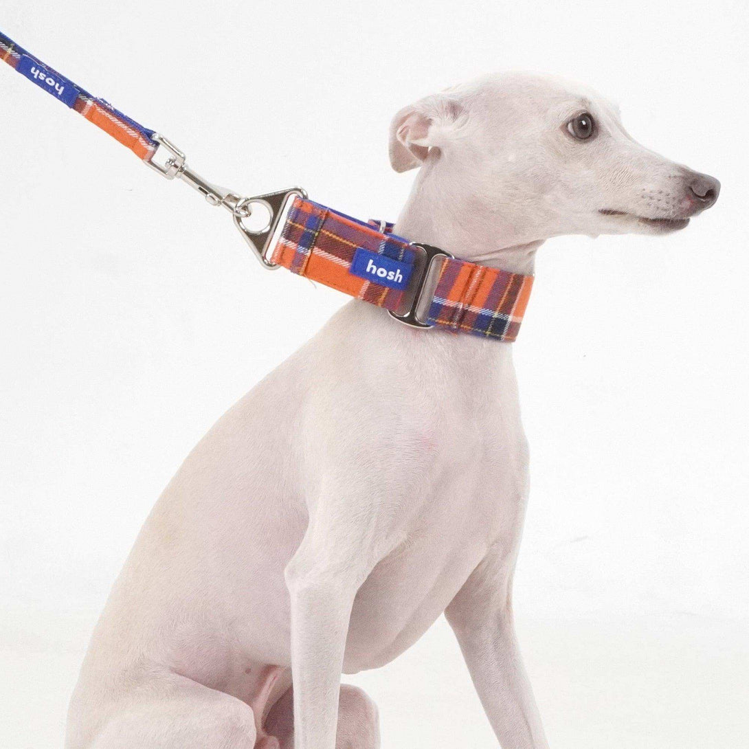 Tartan Pattern Collar + Leash Set | Orange - 2&4 PETS