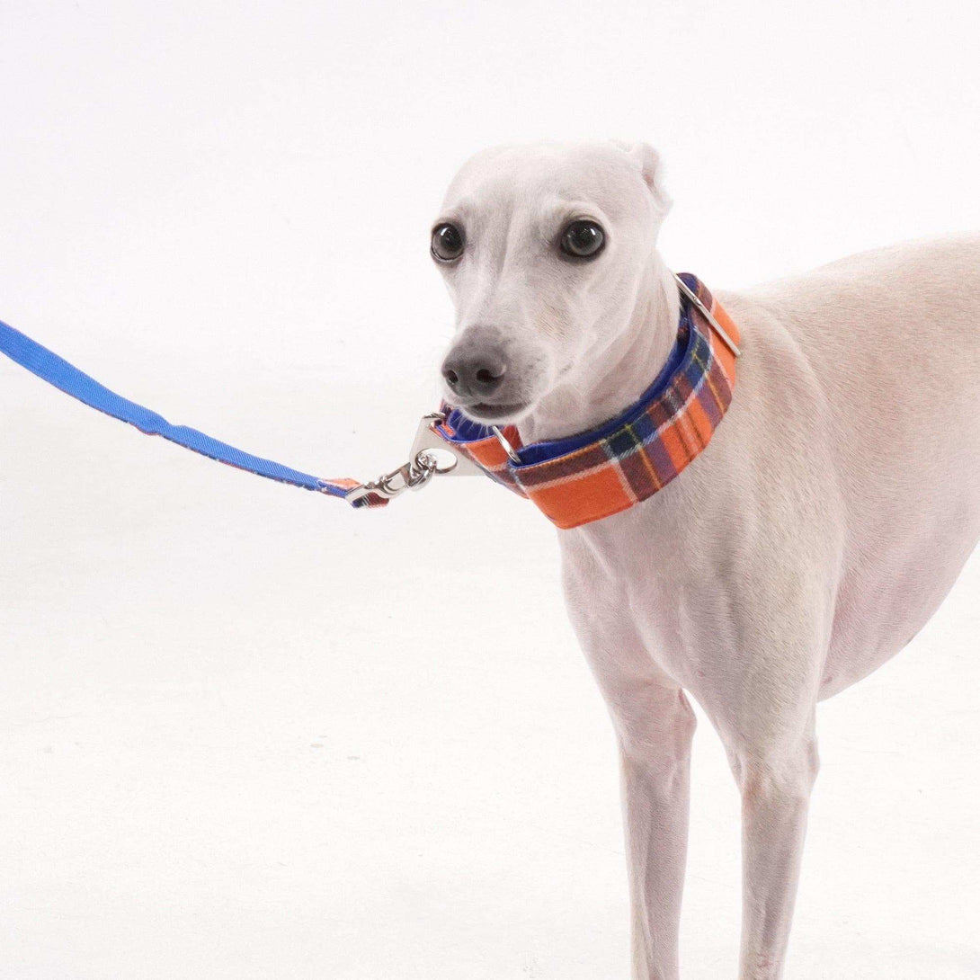 Tartan Pattern Collar + Leash Set | Orange - 2&4 PETS