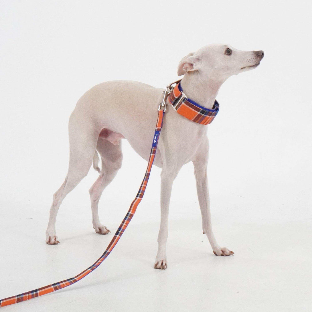 Tartan Pattern Collar + Leash Set | Orange - 2&4 PETS