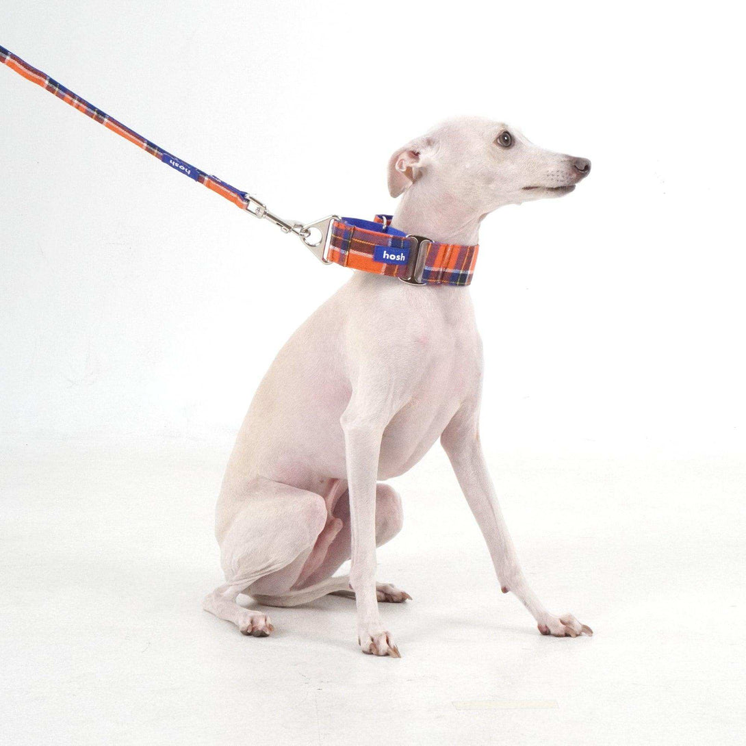 Tartan Pattern Collar + Leash Set | Orange - 2&4 PETS