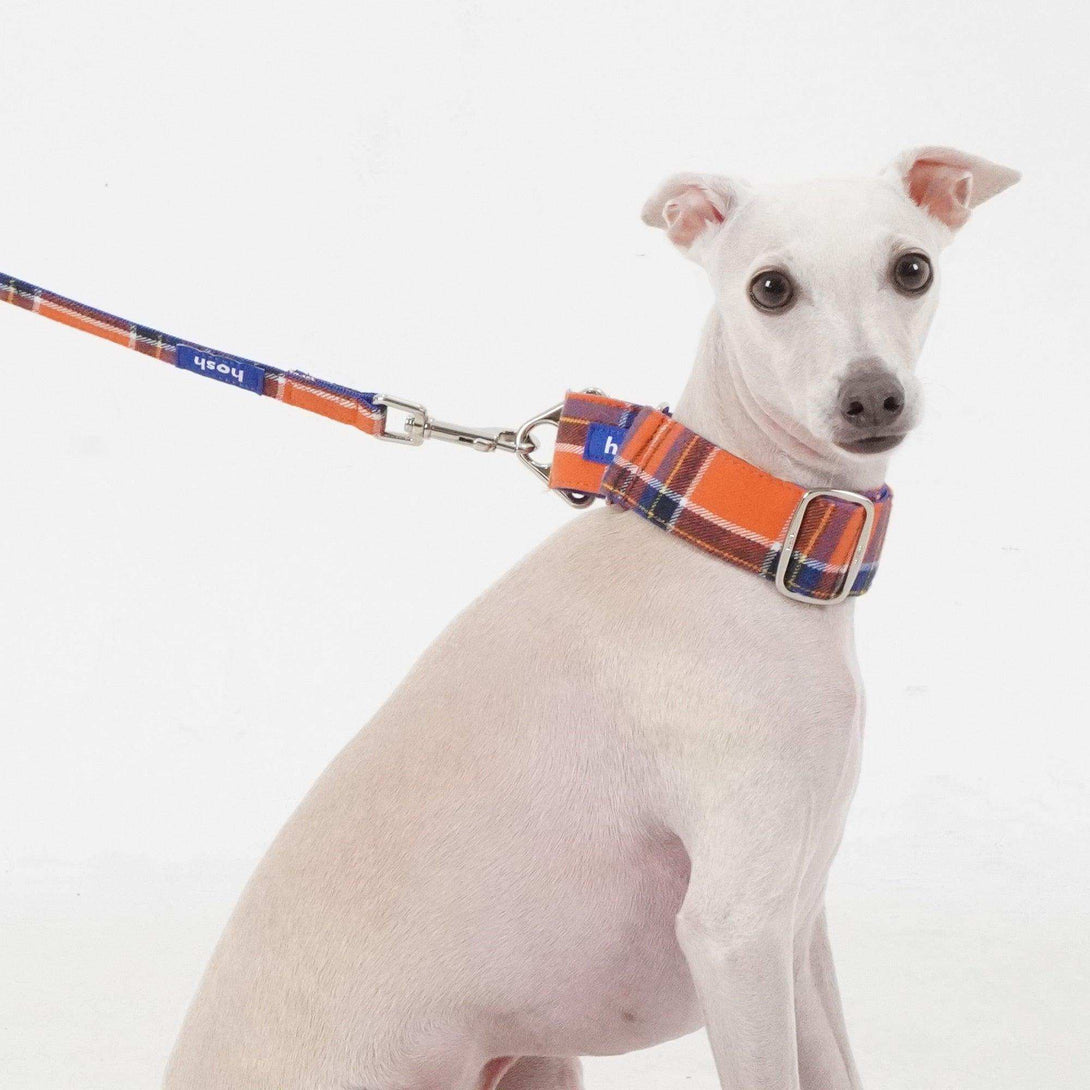 Tartan Pattern Collar + Leash Set | Orange - 2&4 PETS