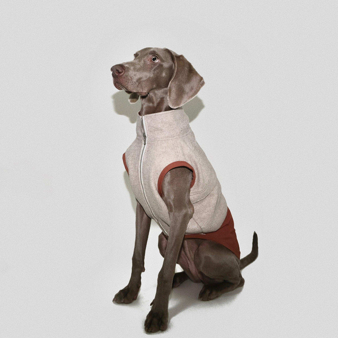 Thermal Tech Flannel Dog Vest