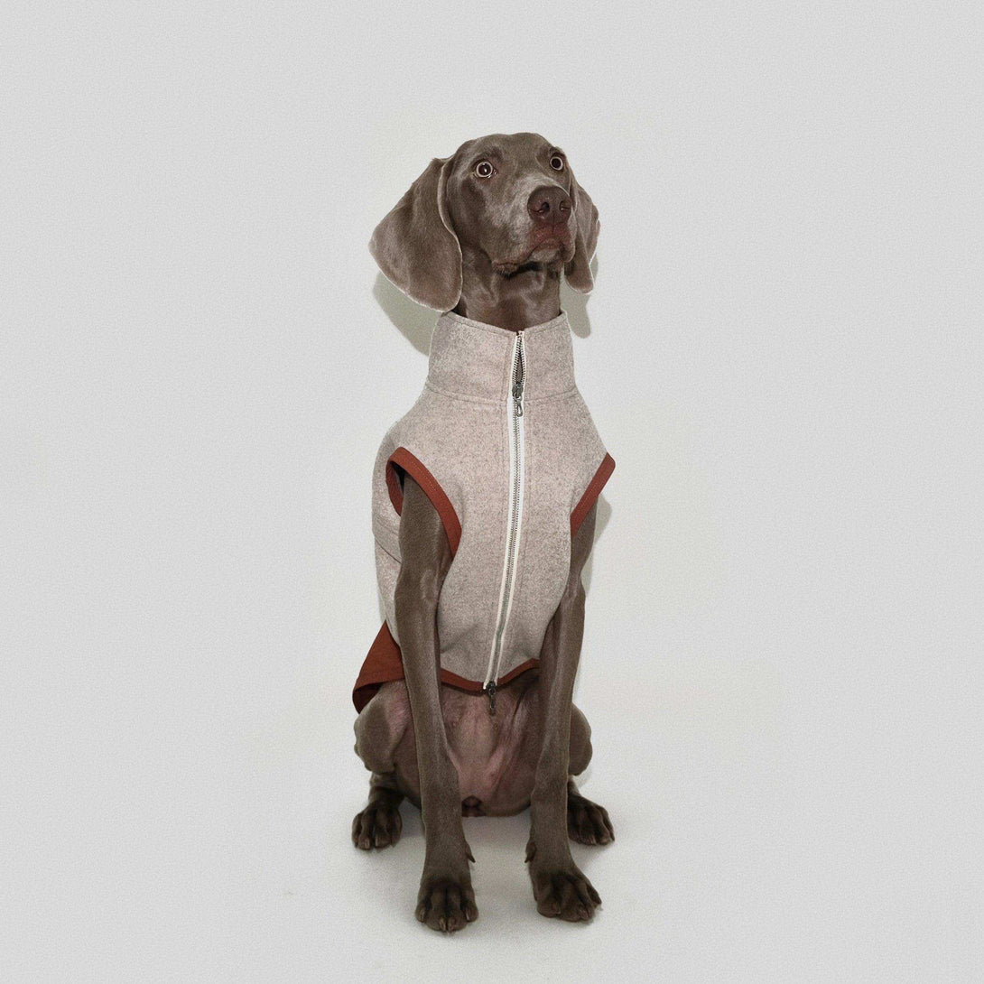 Thermal Tech Flannel Dog Vest