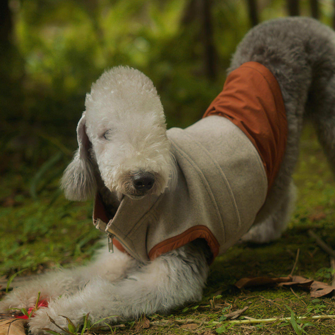 Thermal Tech Flannel Dog Vest