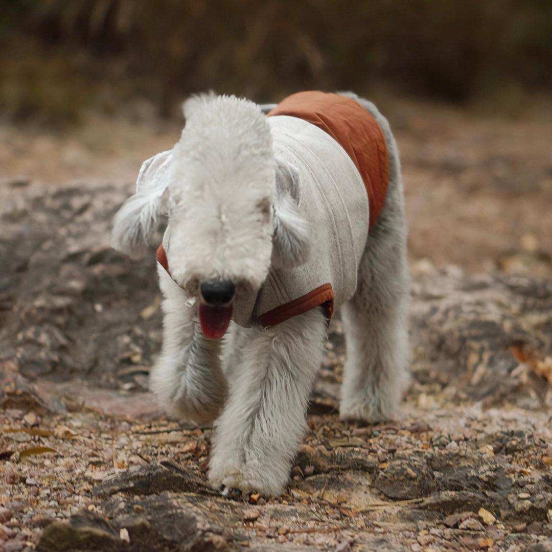 Thermal Tech Flannel Dog Vest