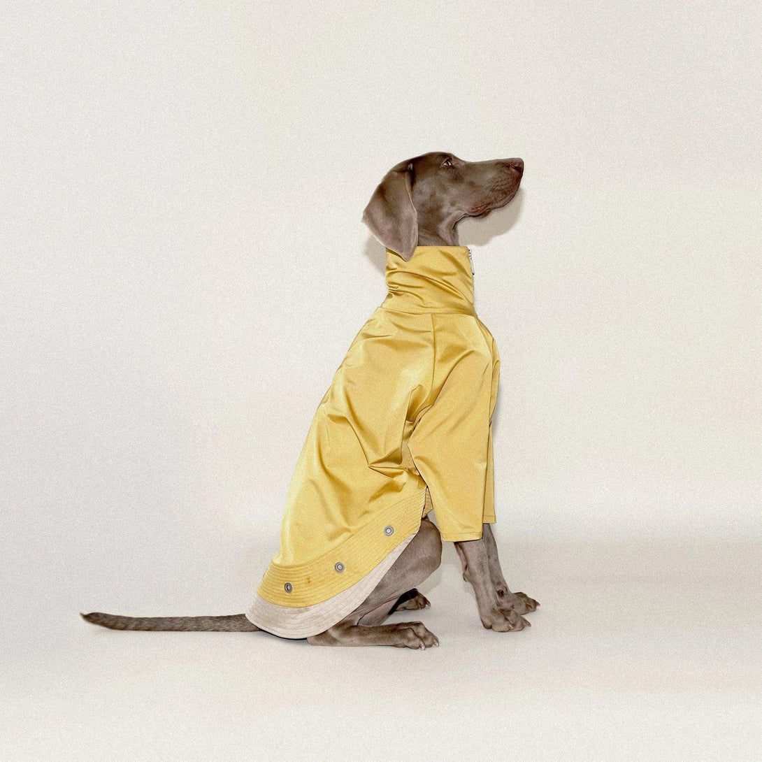 Torrential Tracker Waterproof Dog Coat