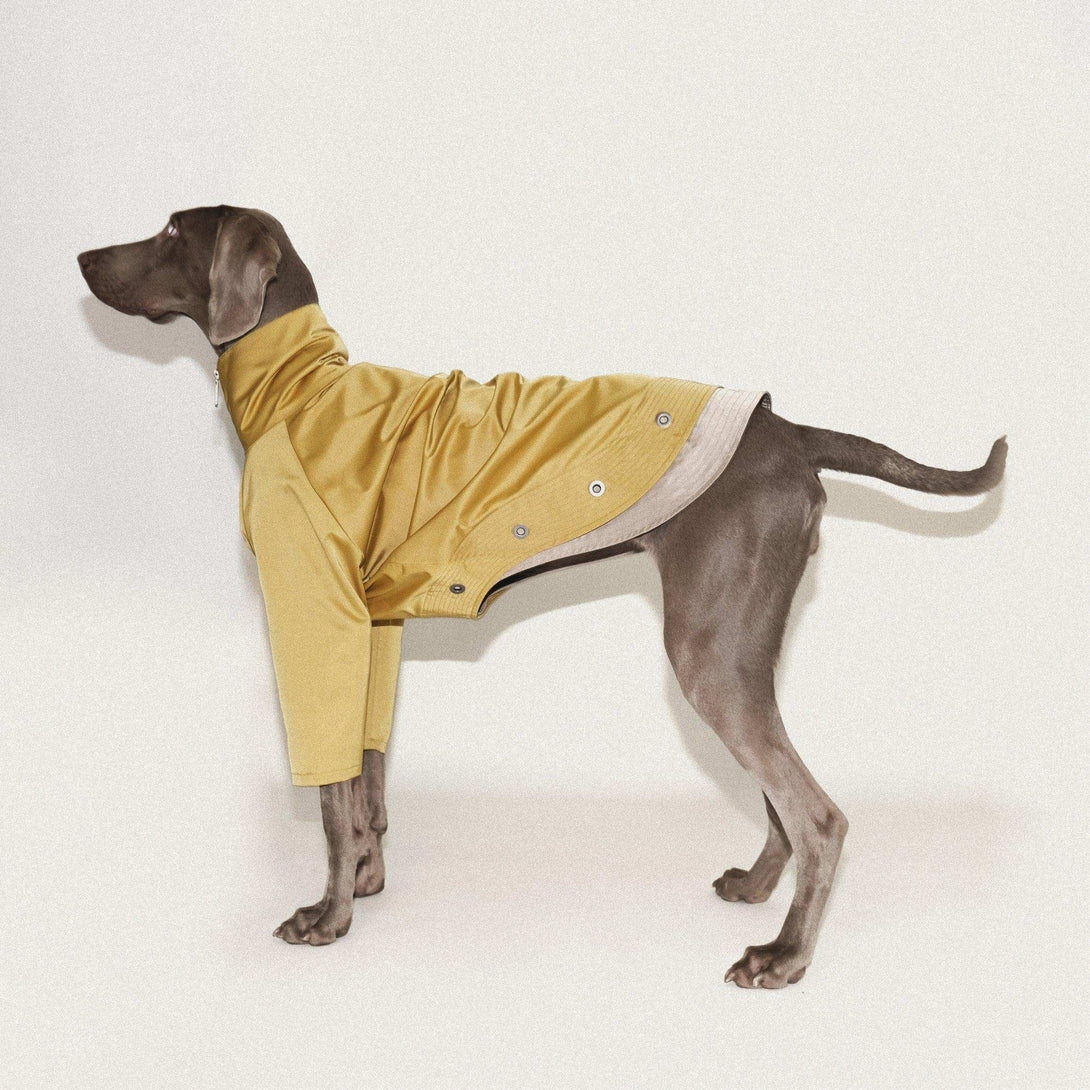 Torrential Tracker Waterproof Dog Coat