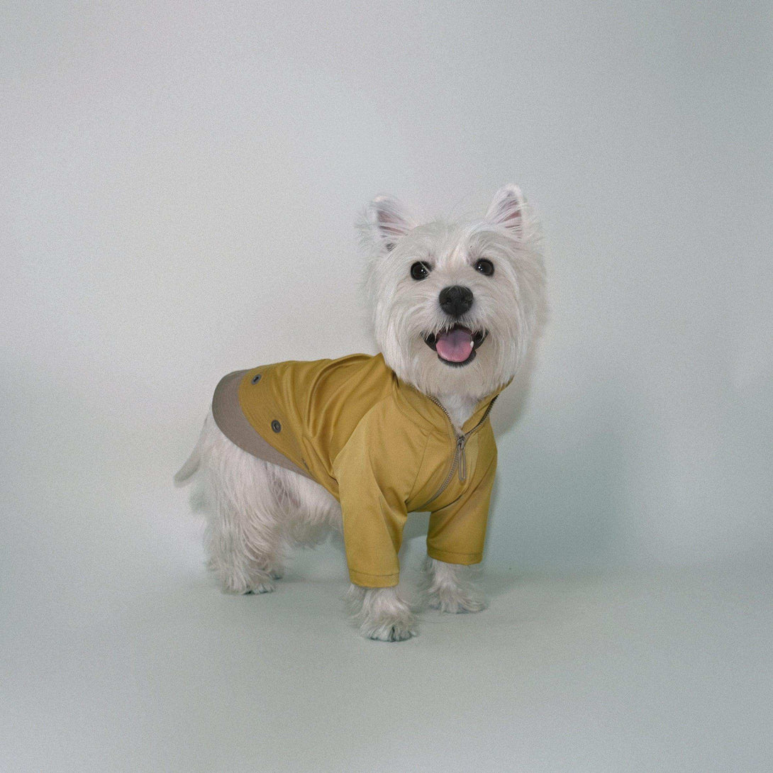 Torrential Tracker Waterproof Dog Coat