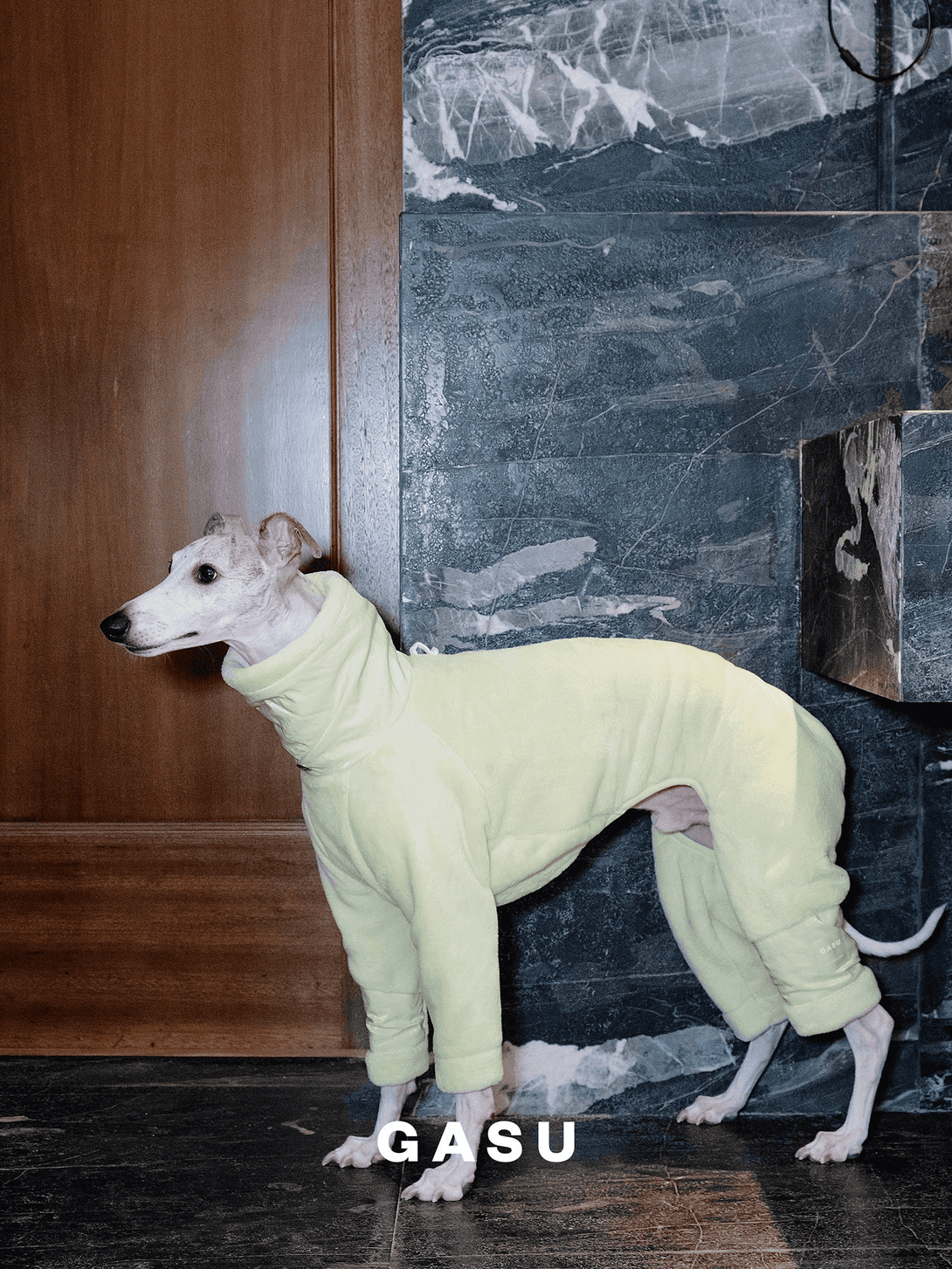 Ultra-Thick Antistatic Fleece Dog Jumpsuit - 2&4 PETS