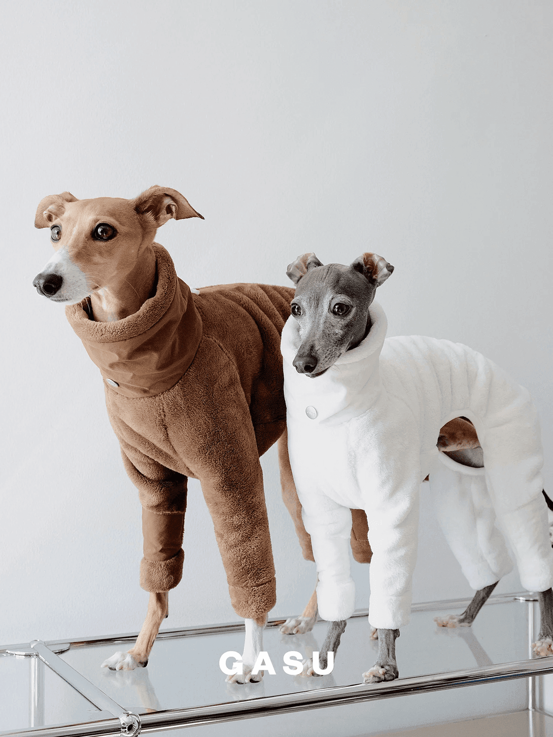 Ultra-Thick Antistatic Fleece Dog Jumpsuit - 2&4 PETS