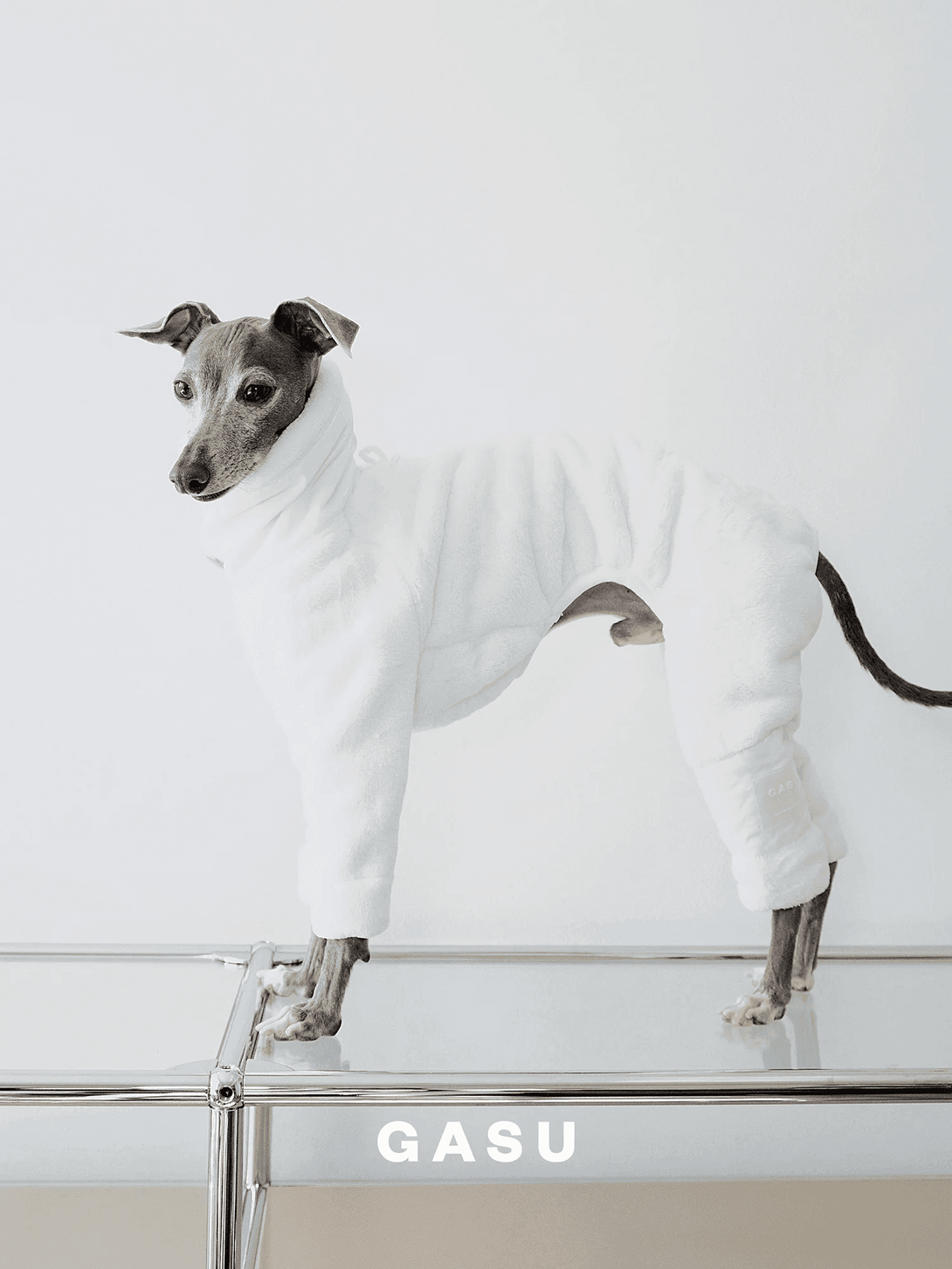 Ultra-Thick Antistatic Fleece Dog Jumpsuit - 2&4 PETS