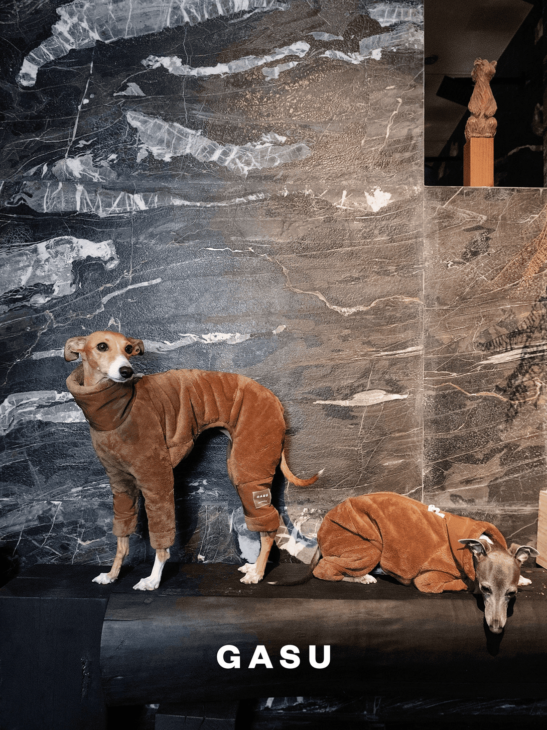 Ultra-Thick Antistatic Fleece Dog Jumpsuit - 2&4 PETS