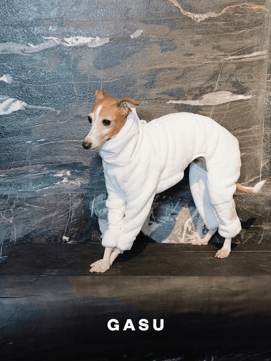 Ultra-Thick Antistatic Fleece Dog Jumpsuit - 2&4 PETS