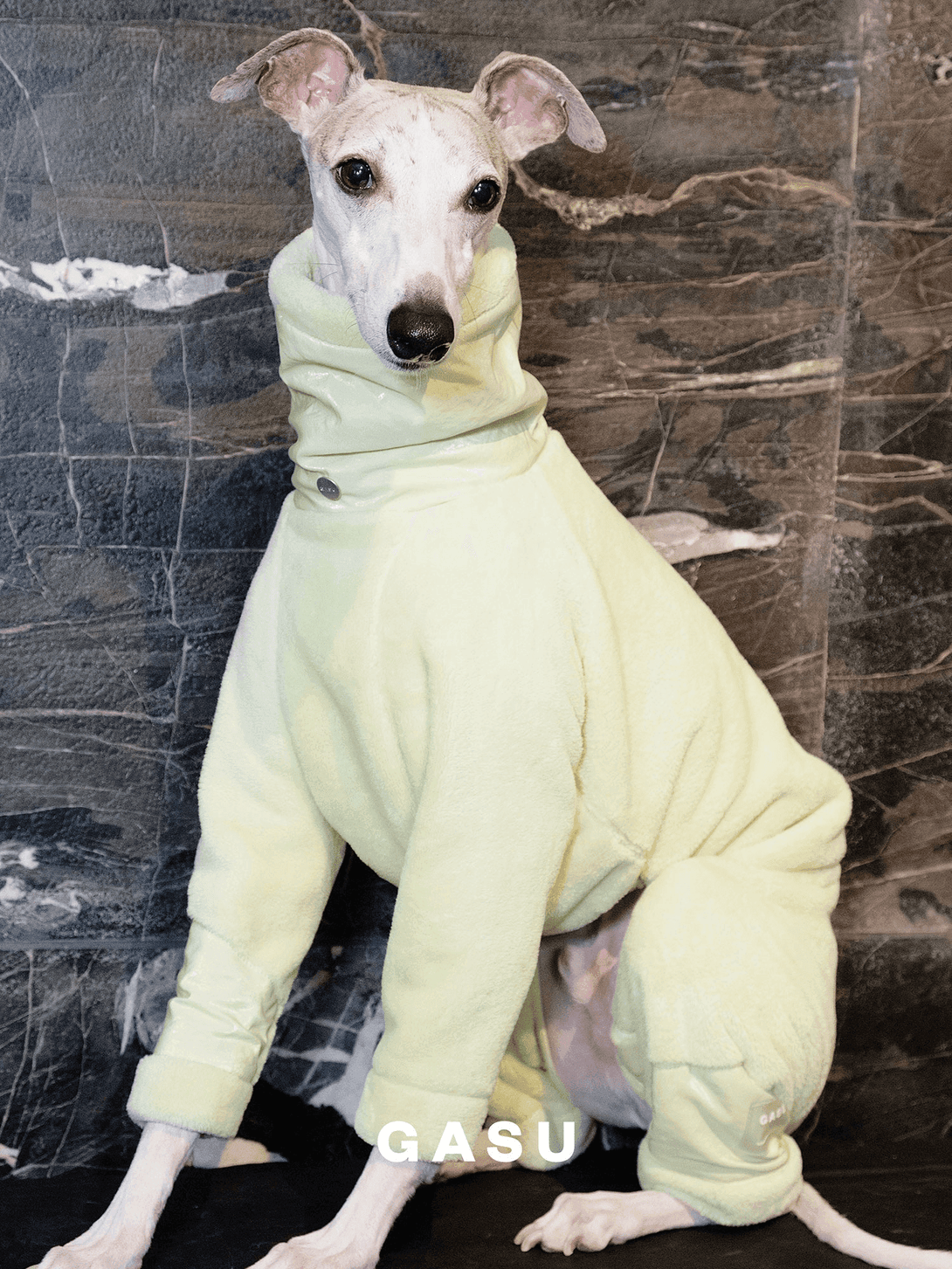 Ultra-Thick Antistatic Fleece Dog Jumpsuit - 2&4 PETS