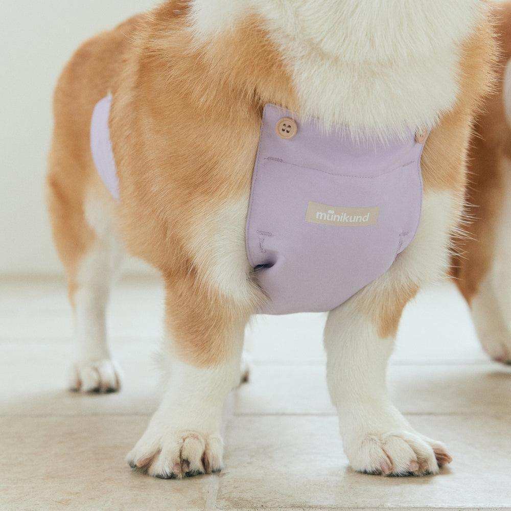 underbelly dog coat