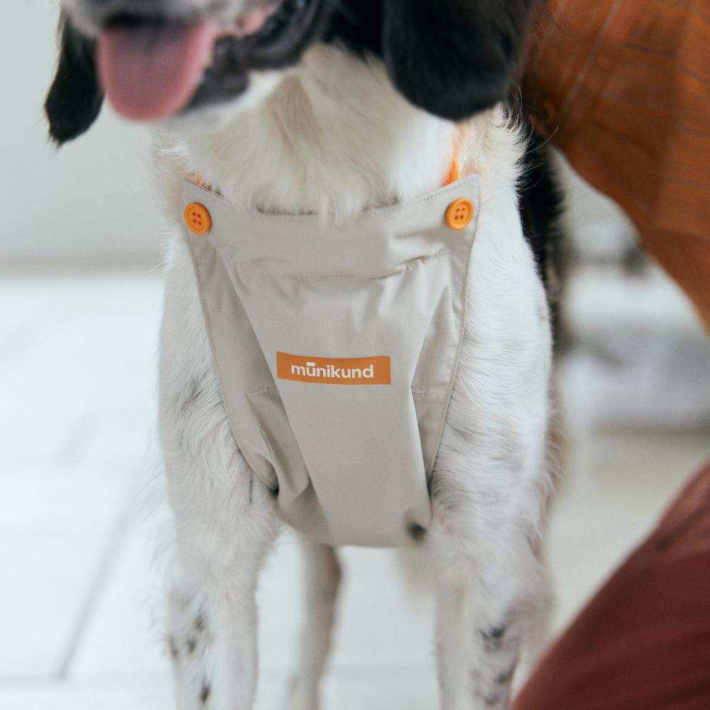 underbelly dog coat