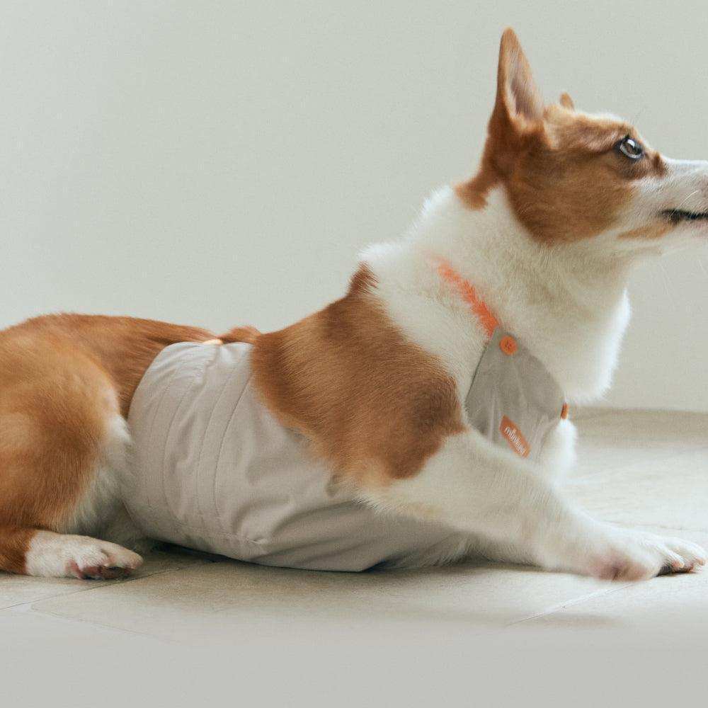 underbelly dog coat