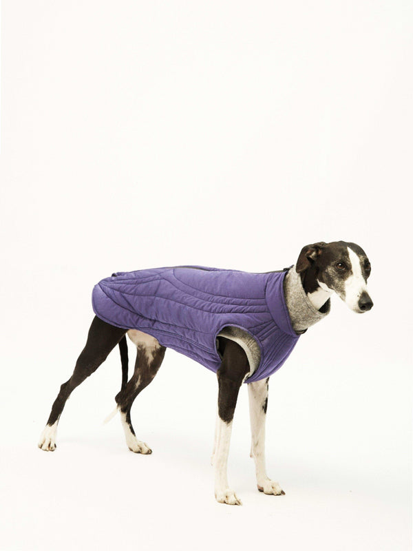 WeatherFlex Insulated Dog Jacket - 2&4 PETS