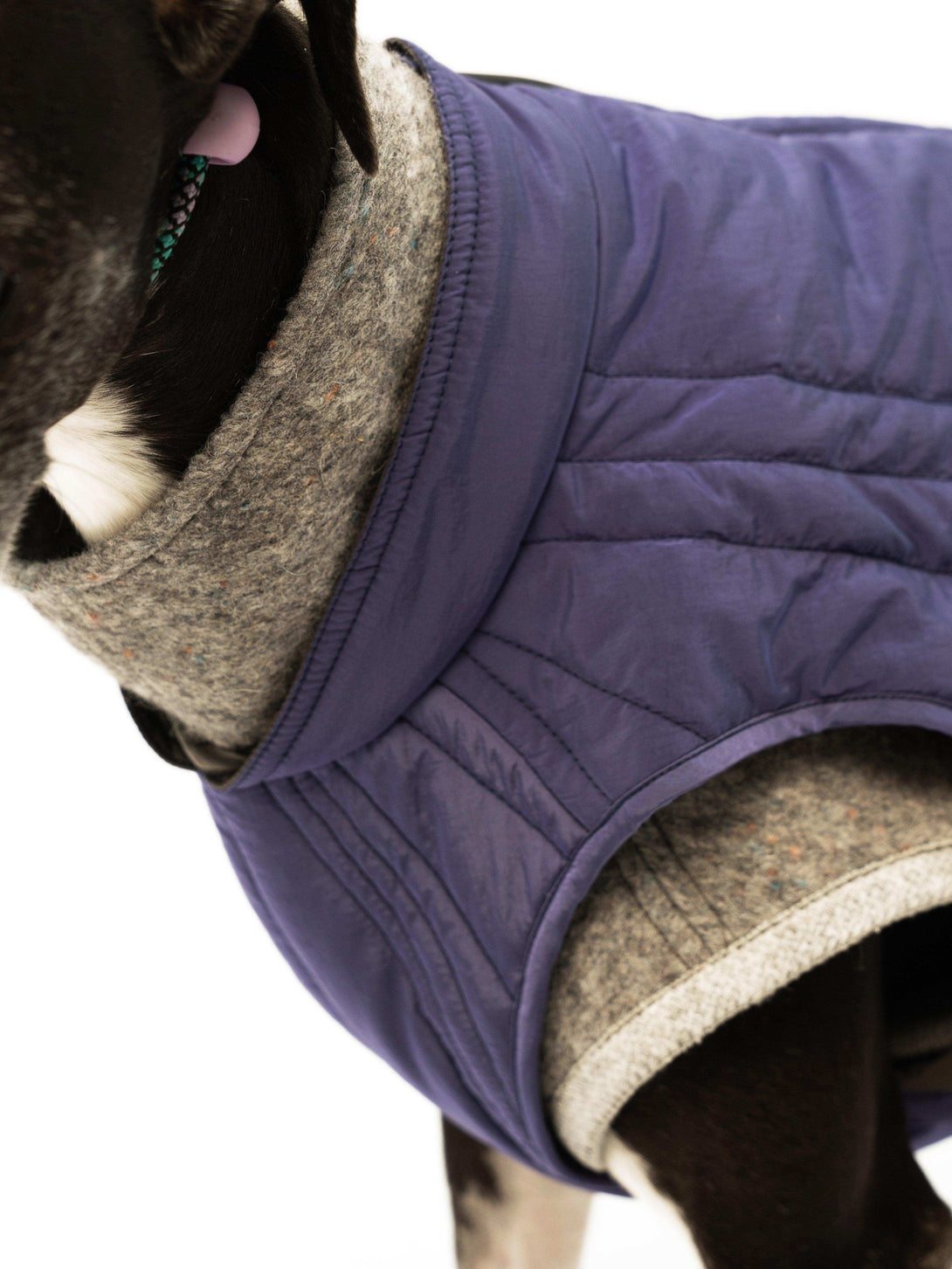 WeatherFlex Insulated Dog Jacket - 2&4 PETS