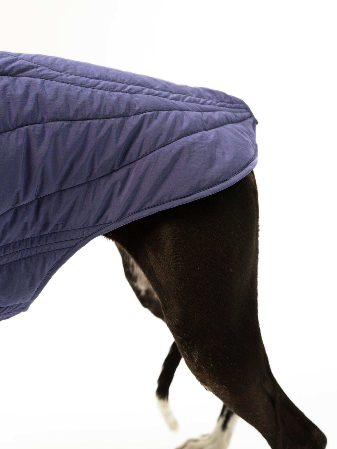 WeatherFlex Insulated Dog Jacket - 2&4 PETS