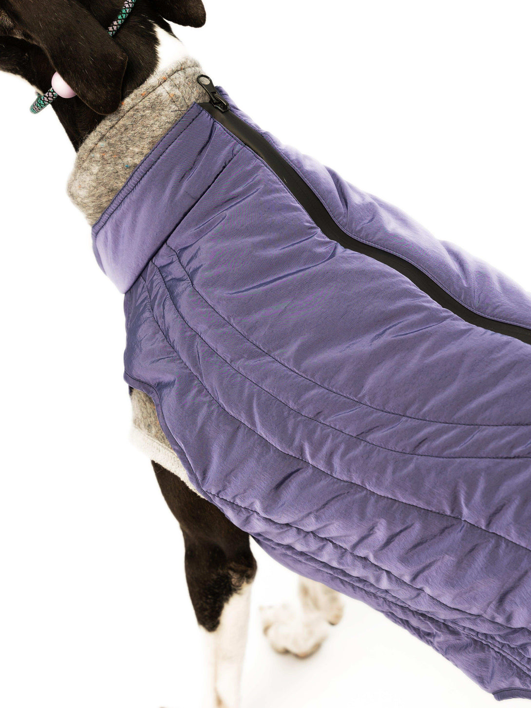 WeatherFlex Insulated Dog Jacket - 2&4 PETS