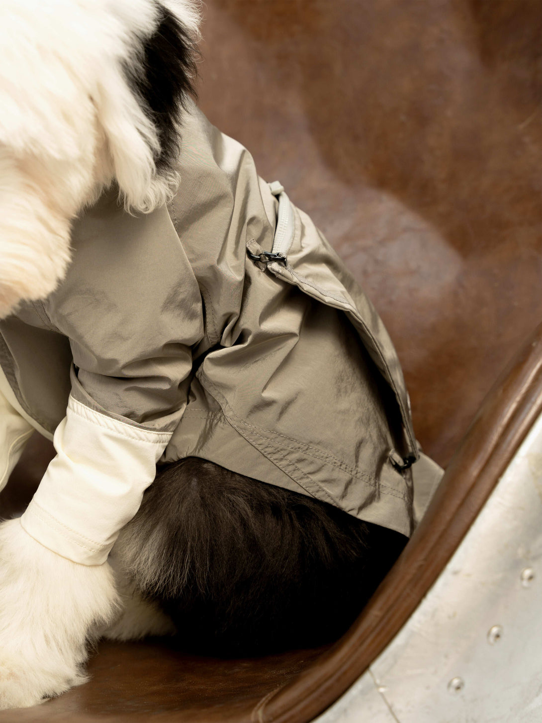 WeatherFlex RoverShell Dog Jacket - 2&4 PETS